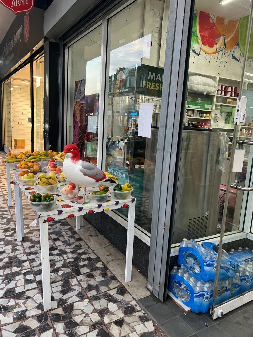 Gary the red-headed gull standing among the bowls on the fruit table outside Madina Store (AI-generated image)